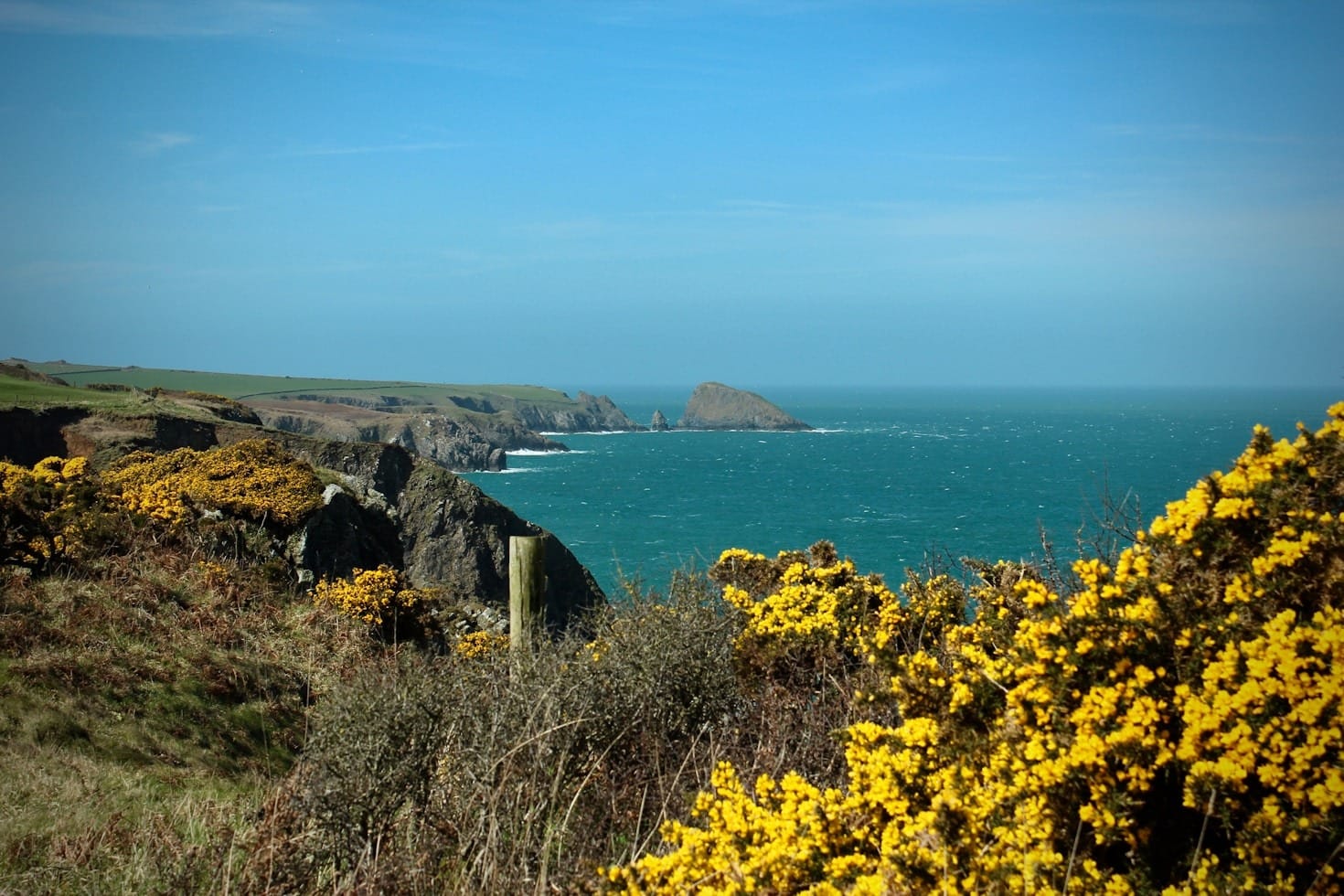 How Pembrokeshire Inspires Creative Local Minds