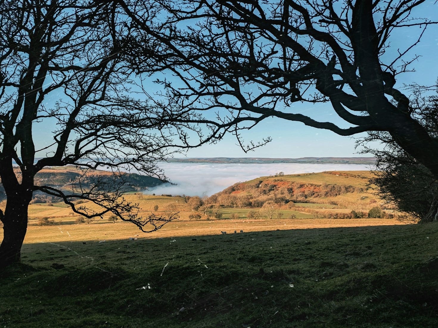 Pembrokeshire Through the Eyes of a Native